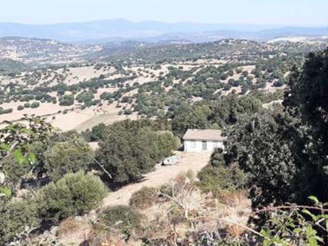 Casa in vendita a Olzai, Sardigna/Sardegna