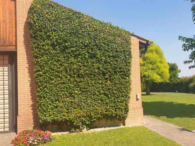 Casa in vendita a Este, Veneto