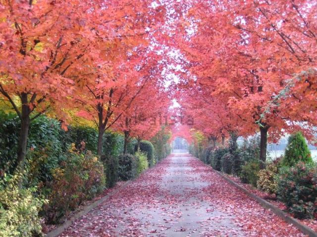 Casa in vendita a Unione dei comuni del Distretto Ceramico, Modena