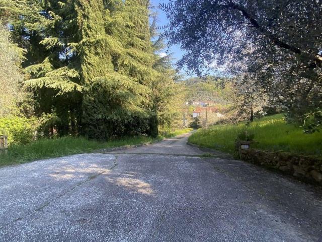 Casa in vendita a Marsan, Marostica