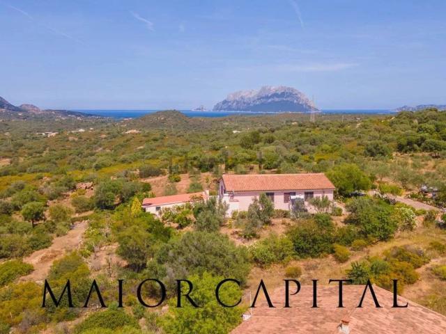 Casa in vendita a San Pantaleo, Sardigna/Sardegna