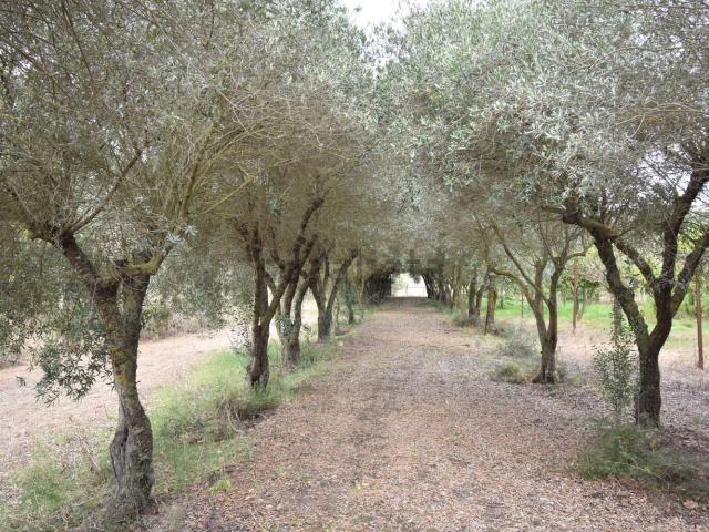 Casa in vendita a Iglesias, Sardigna/Sardegna