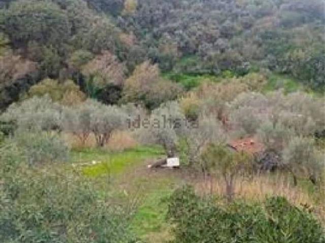 Casa in vendita a Militello Rosmarino, Sicilia