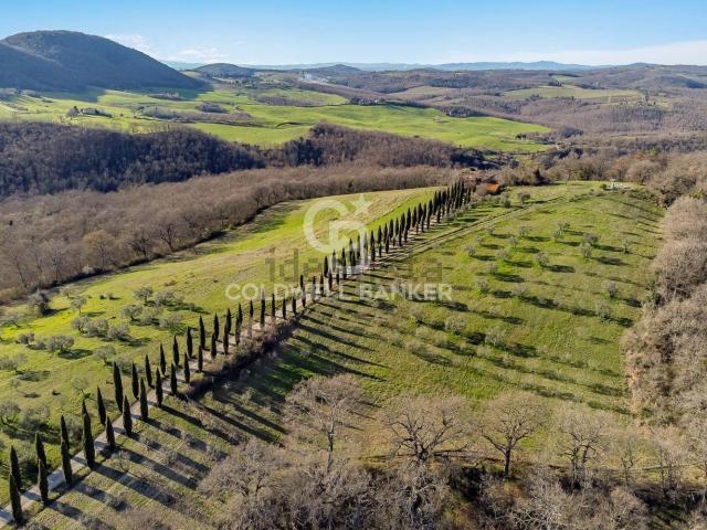 Casa in vendita a Montalcino, Toscana