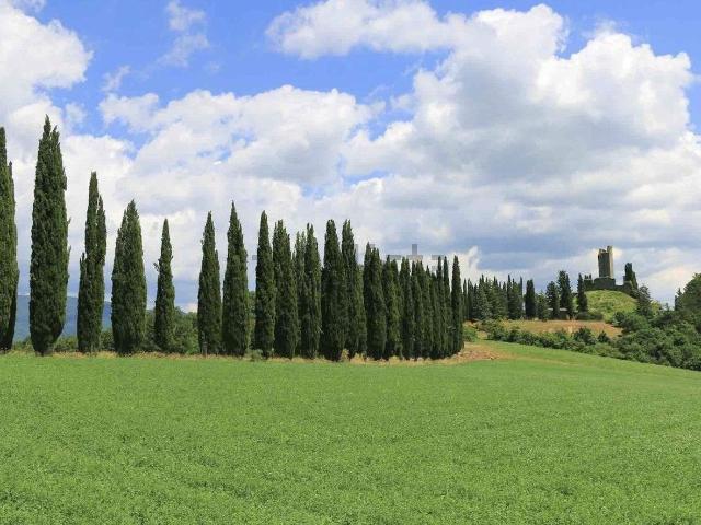 Casa in vendita a Pratovecchio Stia, Toscana