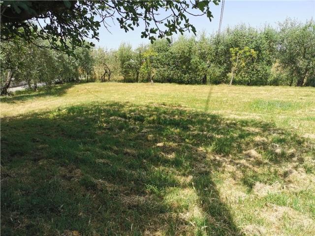 Casa in vendita a La Dogaia, San Miniato