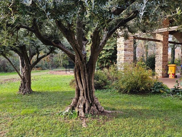 Casa in vendita a Castello, Carbonera