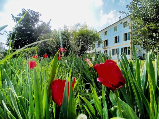 Casa in vendita a Azzano Decimo, Friuli-Venezia Giulia