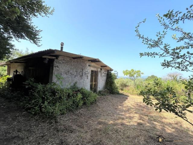 Casa in vendita a Catino, Poggio Catino