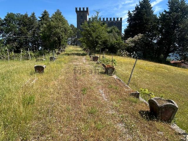 Casa in vendita a Trecchina, Basilicata
