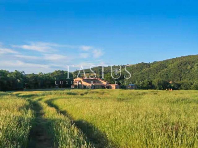 Casa in vendita a Montalcino, Toscana