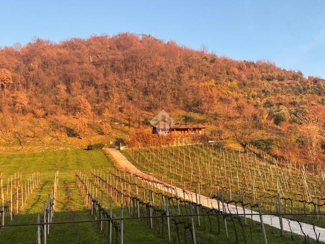 Casa in vendita a Carbonera, Albano Sant'alessandro