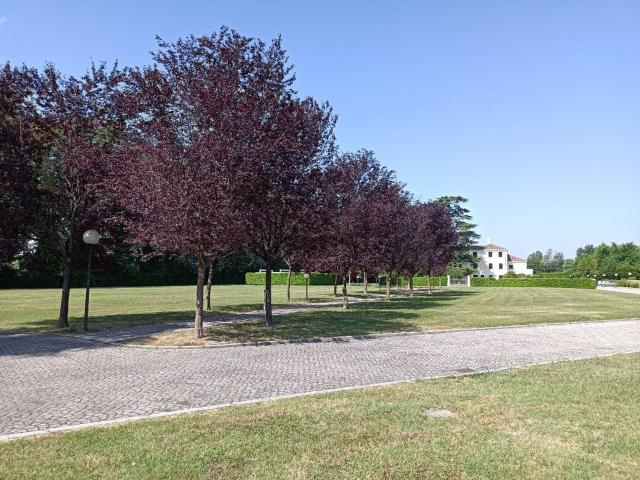 Casa in vendita a Mogliano Veneto, Veneto