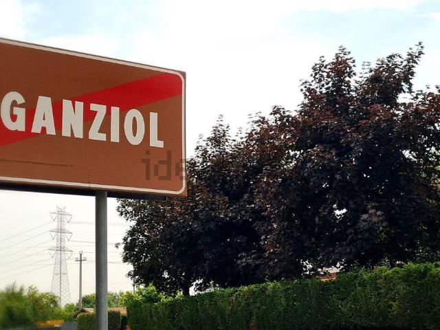 Casa in vendita a Mogliano Veneto, Veneto