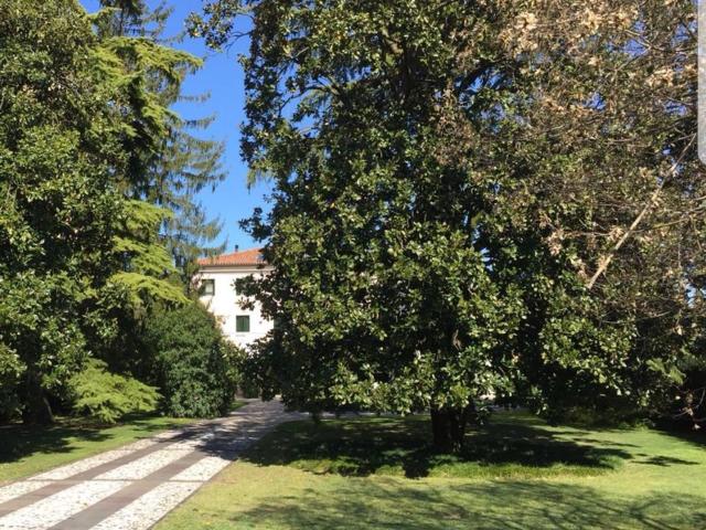 Casa in vendita a Motta Di Livenza, Veneto