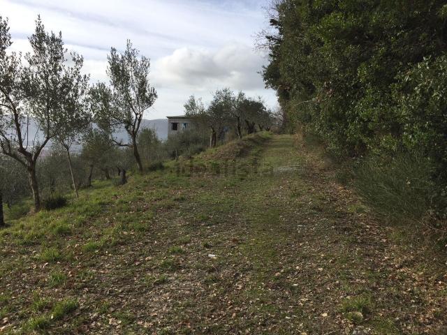 Casa in vendita a Unione di comuni Montana Lunigiana, Castelnuovo Magra