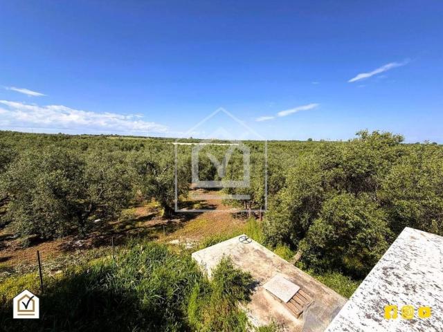 Casa in vendita a Puglia, Barletta-andria-trani