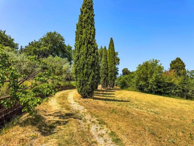 Casa in vendita a Montescudaio, Toscana