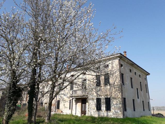 Casa in vendita a Canda, Veneto