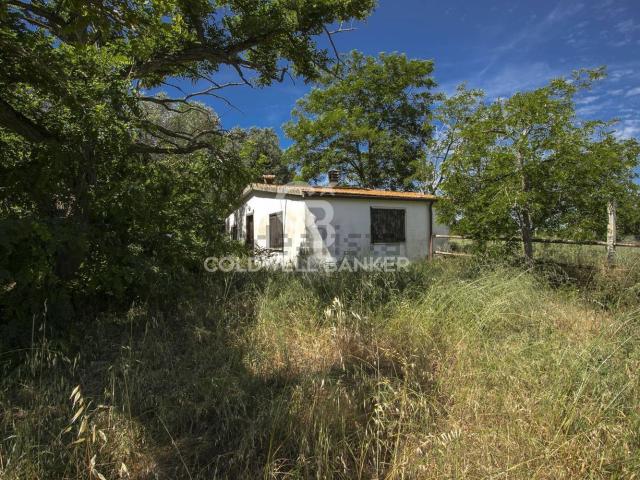 Casa in vendita a Montalto Di Castro, Lazio