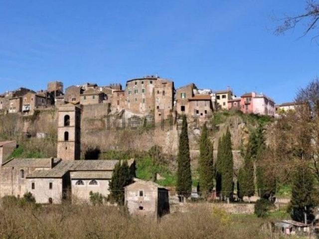 Casa in vendita a Gallese, Lazio