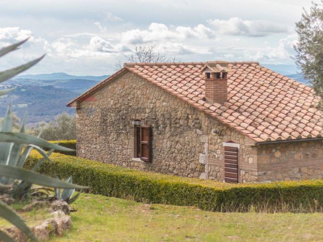 Casa in vendita a Unione dei Comuni Montani Amiata Grossetana, Semproniano