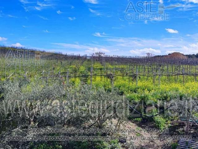 Casa in vendita a Naro, Sicilia