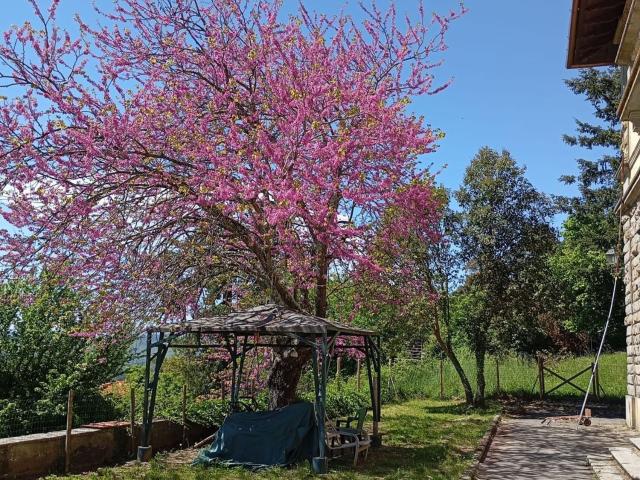 Casa in vendita a Bivigliano, Vaglia