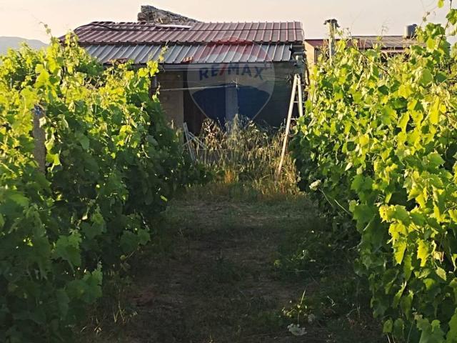 Casa in vendita a Mineo, Sicilia