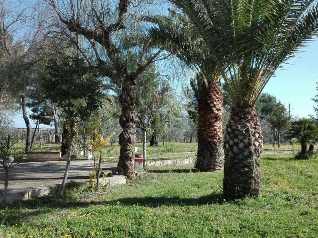 Casa in vendita a Puglia, Foggia