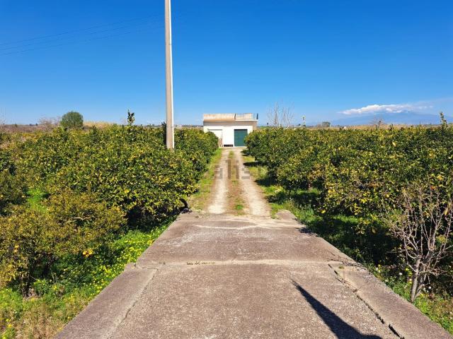 Casa in vendita a Francofonte, Sicilia