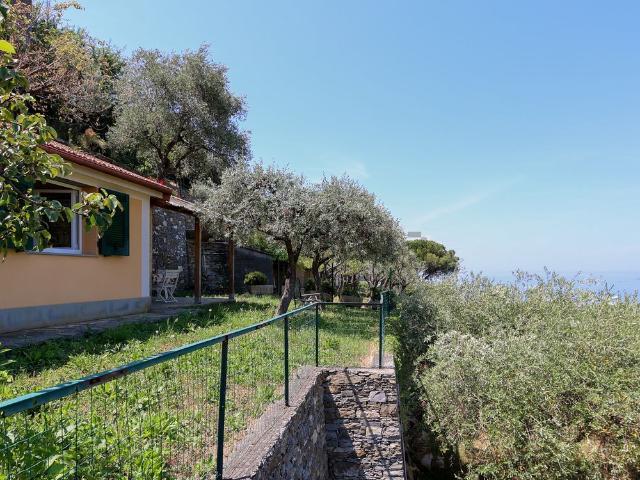 Casa in vendita a Case rosse, Camogli