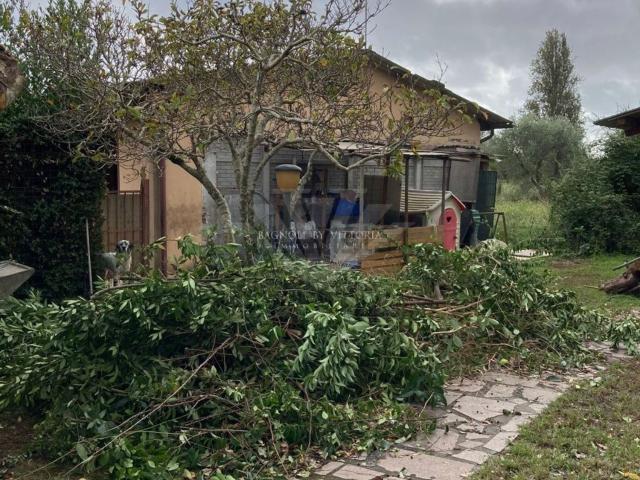Casa in vendita a Tonfano, Toscana