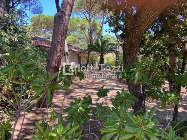 Casa in vendita a Castiglione Della Pescaia, Cannucce