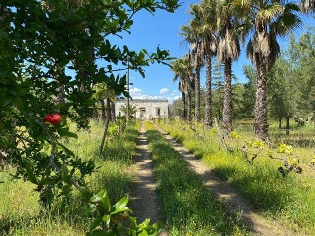 Casa in vendita a Puglia, Brindisi