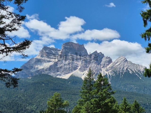 Casa in vendita a Borca Di Cadore, Veneto
