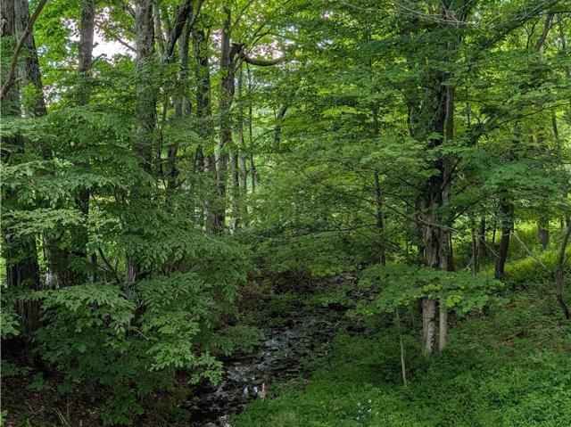 Land for sale in Bainbridge, New York