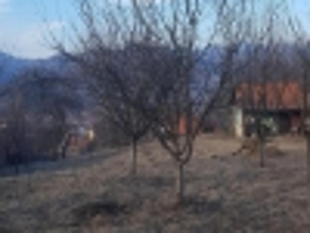 Proprietate vânzări în Timisoara, Timiș