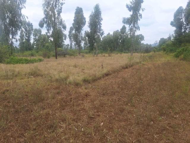 Land for sale in Akasia, City of Tshwane Metropolitan Municipality