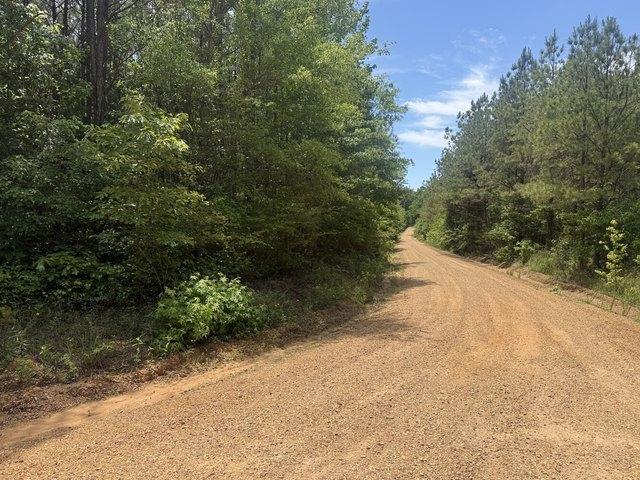 Land for sale in Millport, Alabama