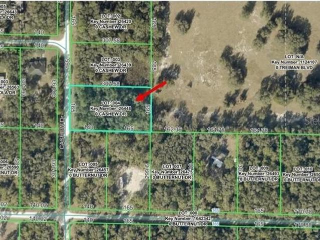 Land for sale in Webster, Florida