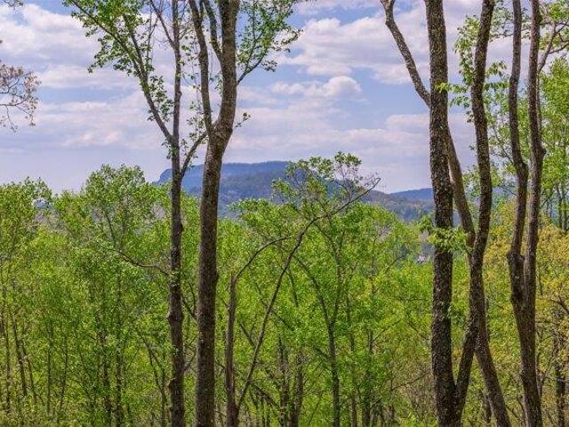 Land for sale in North Carolina
