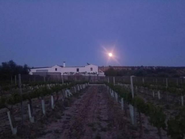 Casa en alquiler en Montilla, Andalucía