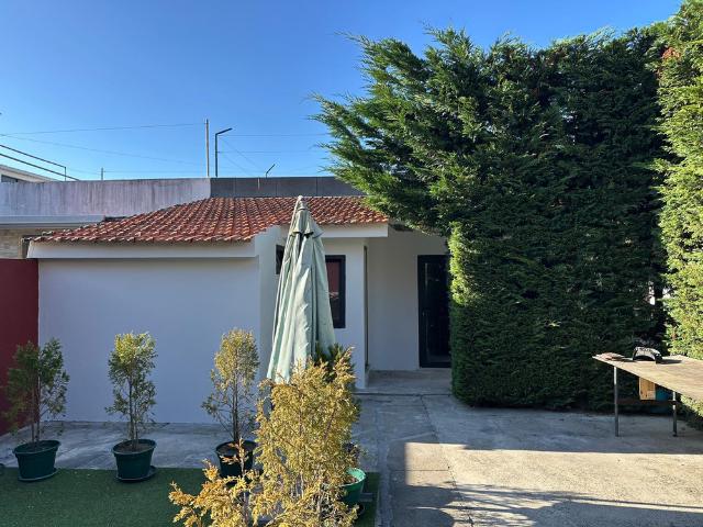 Apartamento alugar em Nova Sintra, A Ver-o-mar