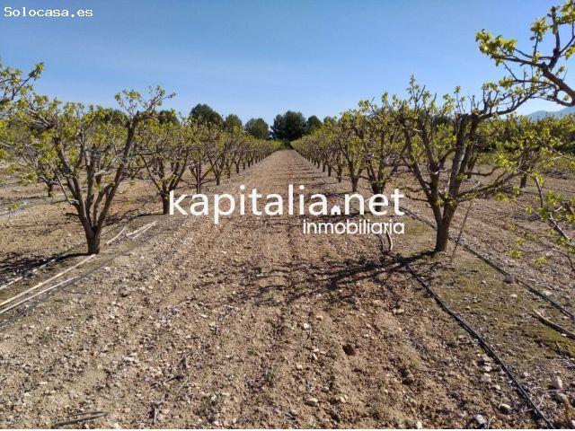 Casa en venta en la Vall d'Albaida, Valencia