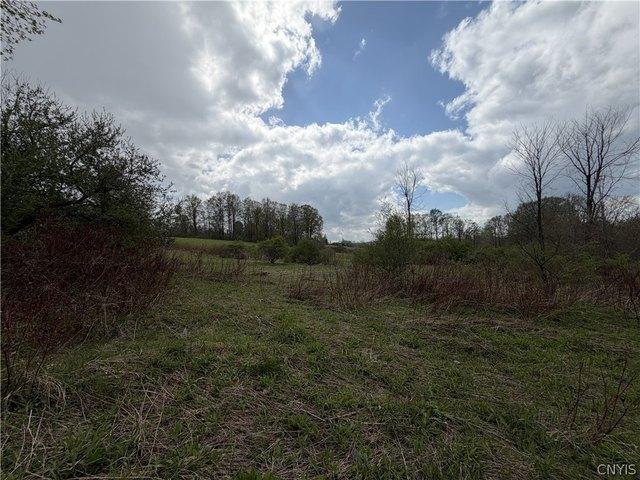 Land for sale in Jordanville, New York