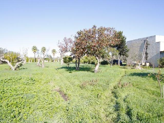 Terreno in vendita a Puglia, Lecce