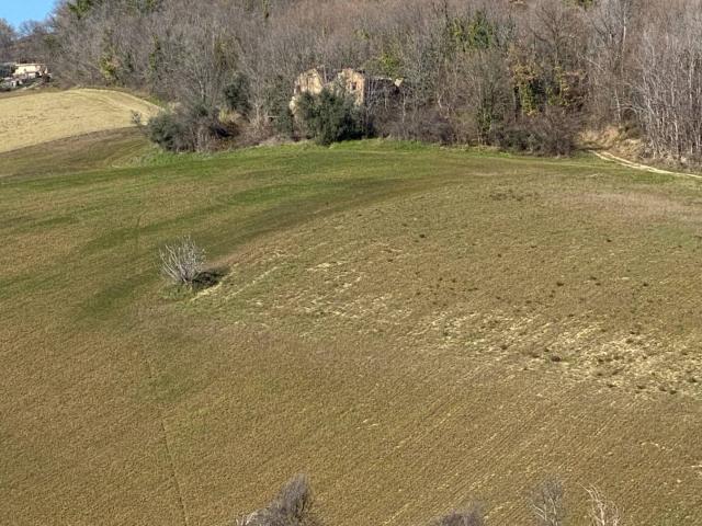 Villa Indipendente in vendita a Marche, Fermo