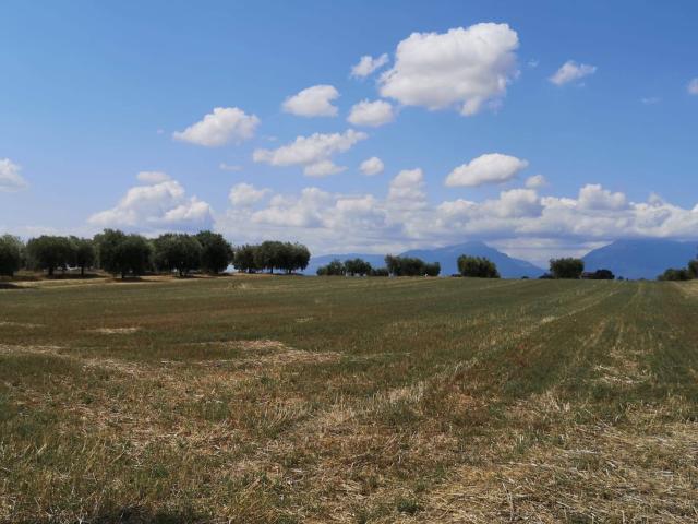 Villa Indipendente in vendita a Sant'Omero, Teramo