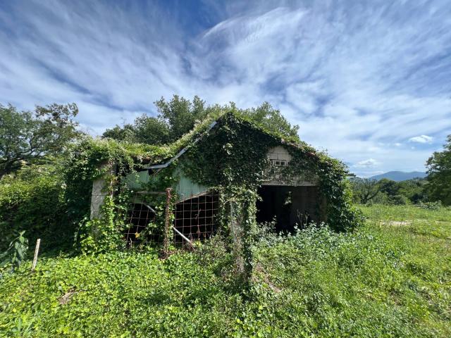 Rustico in vendita a Marche, Ancona